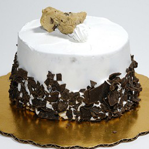 Special Choco Vanilla Cake