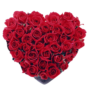 Heart Shape Red Rose's