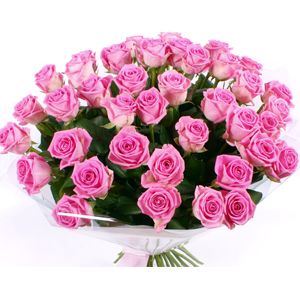 Special Pink Rose's