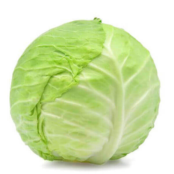 cabbage vizag VizagShop.com