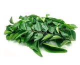 Curry Leaves in Visakhapatnam