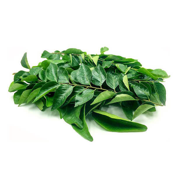 Curry Leaves in Visakhapatnam