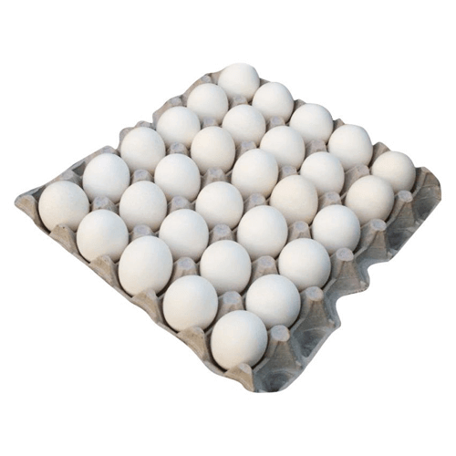 Buy Eggs Tray in Vizag